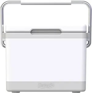 Bevanda - Verge Insulated Lunch Box Cooler - Durable Hard Shell - 2 Magnetic Ice Packs Included - Magnetic Lid & Air Tight Seal - Keeps Food Hot or Cold for Hours - Stainless Steel Handle