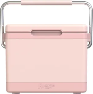 Bevanda - Verge Insulated Lunch Box Cooler - Durable Hard Shell - 2 Magnetic Ice Packs Included - Magnetic Lid & Air Tight Seal - Keeps Food Hot or Cold for Hours - Stainless Steel Handle