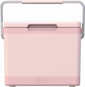 Bevanda - Verge Insulated Lunch Box Cooler - Durable Hard Shell - 2 Magnetic Ice Packs Included - Magnetic Lid & Air Tight Seal - Keeps Food Hot or Cold for Hours - Stainless Steel Handle