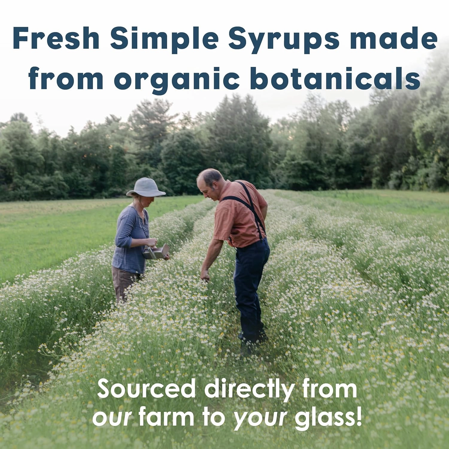 Bluestem Botanicals Organic Triple Mint Simple Syrup, 8 oz, Cocktail and Mocktail Mixer for Drinks, Non-Alcoholic