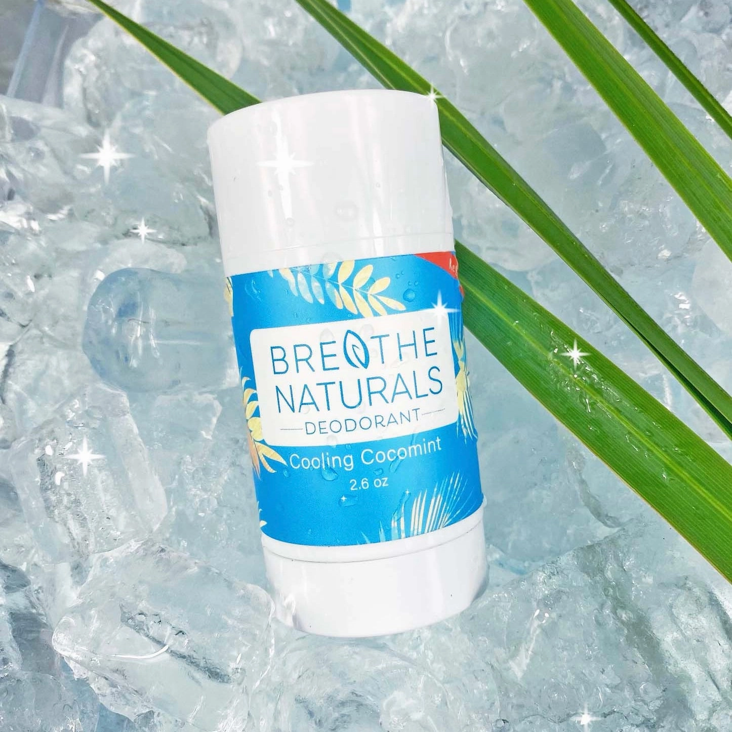 Cooling CocoMint Deodorant