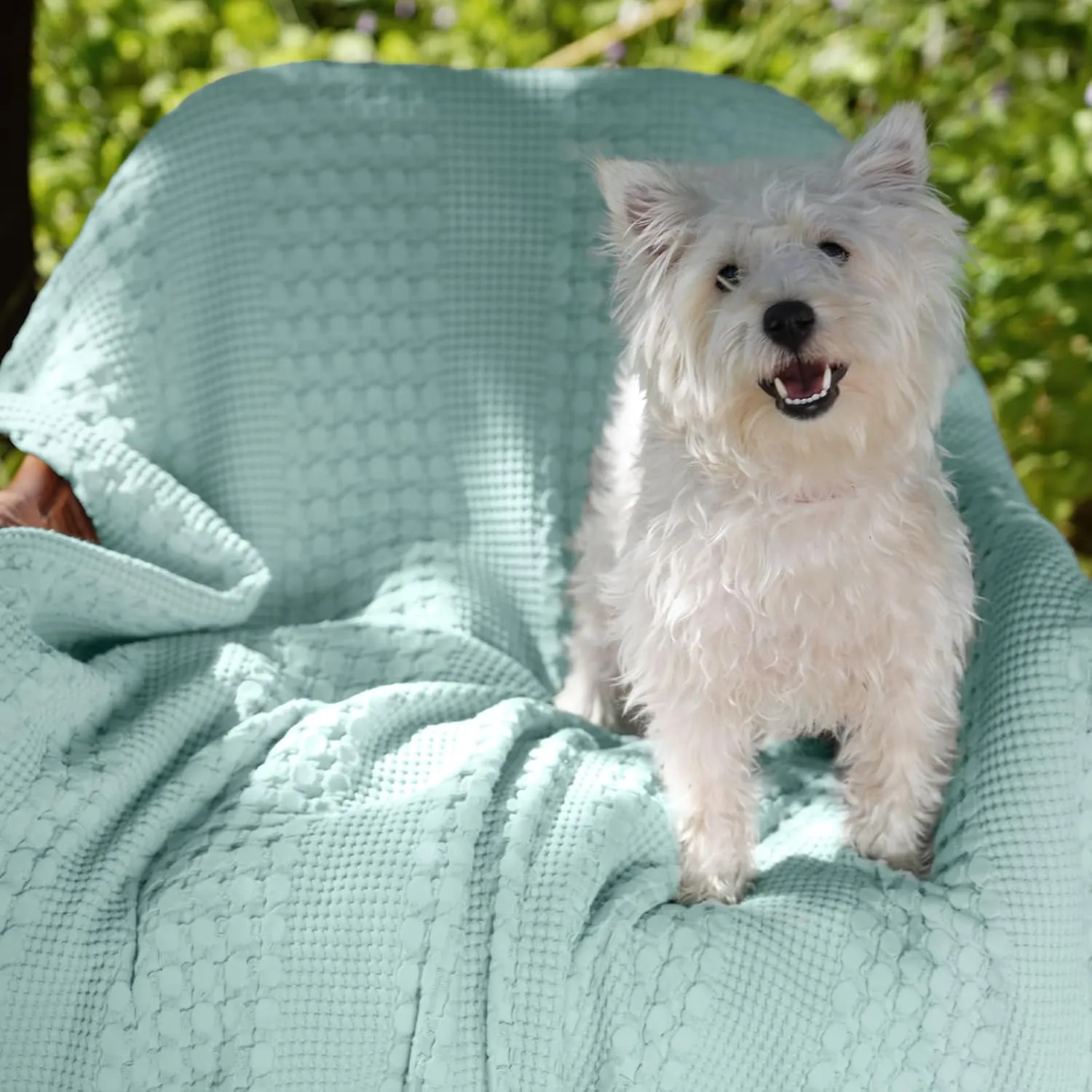 David's Home 100% Cotton Waffle Blanket Queen Size, Lightweight Breathable Soft Cooling Spring Summer Blanket for Bed, Gift for Women, Aesthetics Home Decor for Couch Sofa Bedding,Mint,90x90