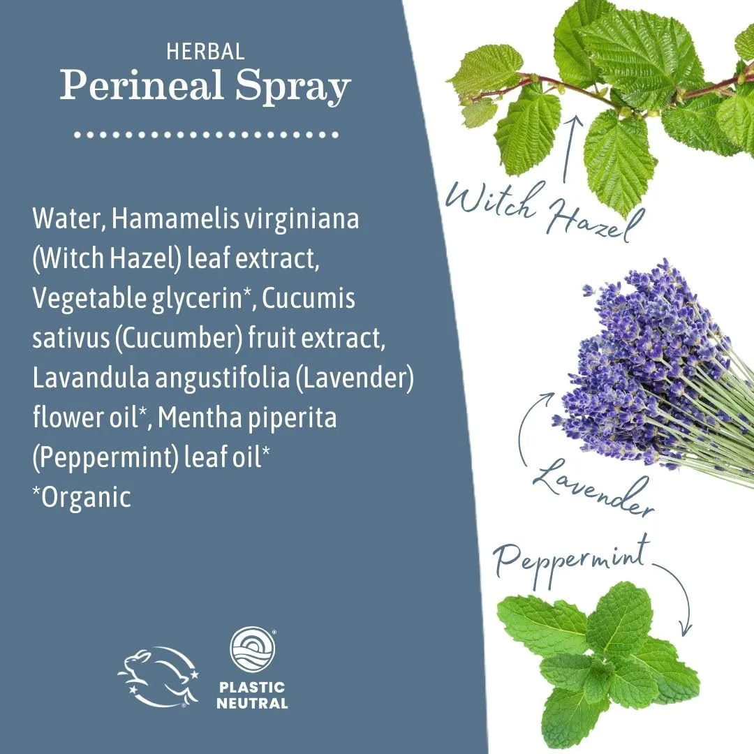 Earth Mama Herbal Perineal Spray | Safe for Pregnancy and Postpartum Recovery, Witch Hazel Natural Cooling Spray for After Birth Feminine Care Essentials, No Benzocaine or Butane, 4-Fl oz (2-Pack)