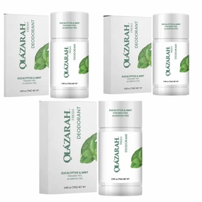 Fresh Eucalyptus & Mint Deodorant Antiperspirant Stick - 48-Hour Protection, Natural Anti-Stain Formula for Women and Men, 2.65 oz, 3 count