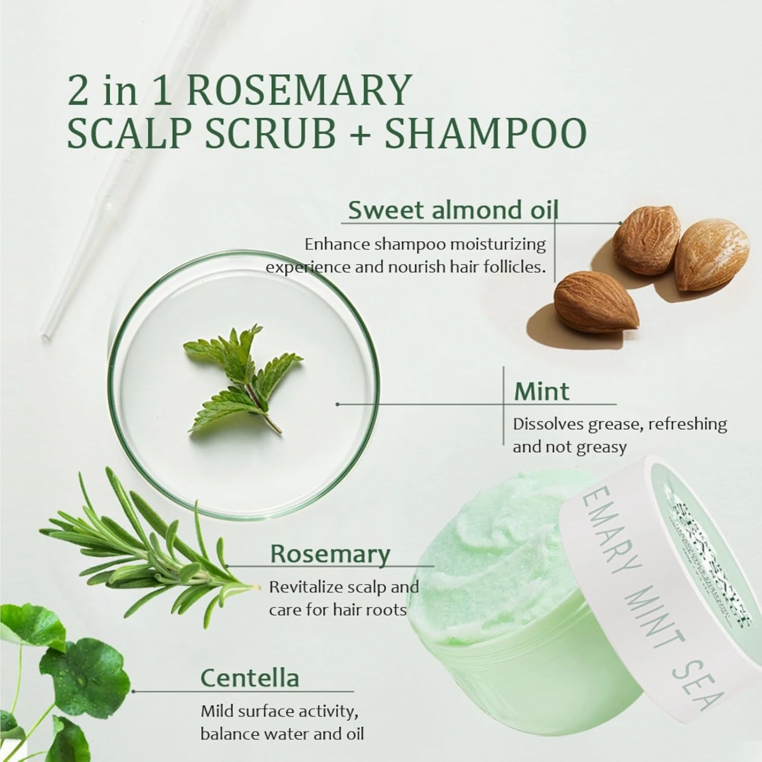 Gentle Scalp Scrub For Exfoliating & Cleansing, Refreshing Nourishment With Sea Salt & Mint For Hair Root Care, With Massage Brush (A, 9.2 OZ)
