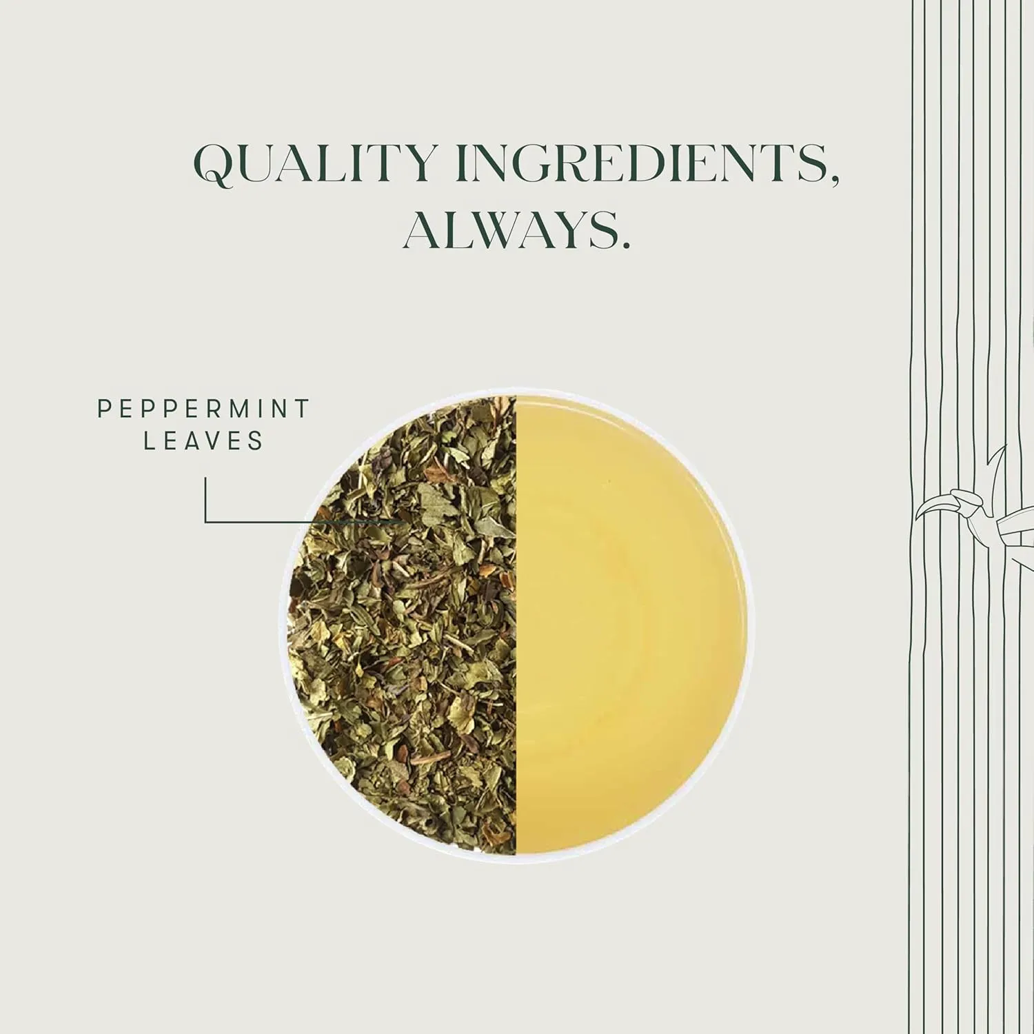 Luxmi Estates Purely Peppermint 50 Tea Bags (100g) Pack | USDA Certified Organic Herbal Tea | Mint Tea Best for Night Time | 50 Cups Bulk Pack