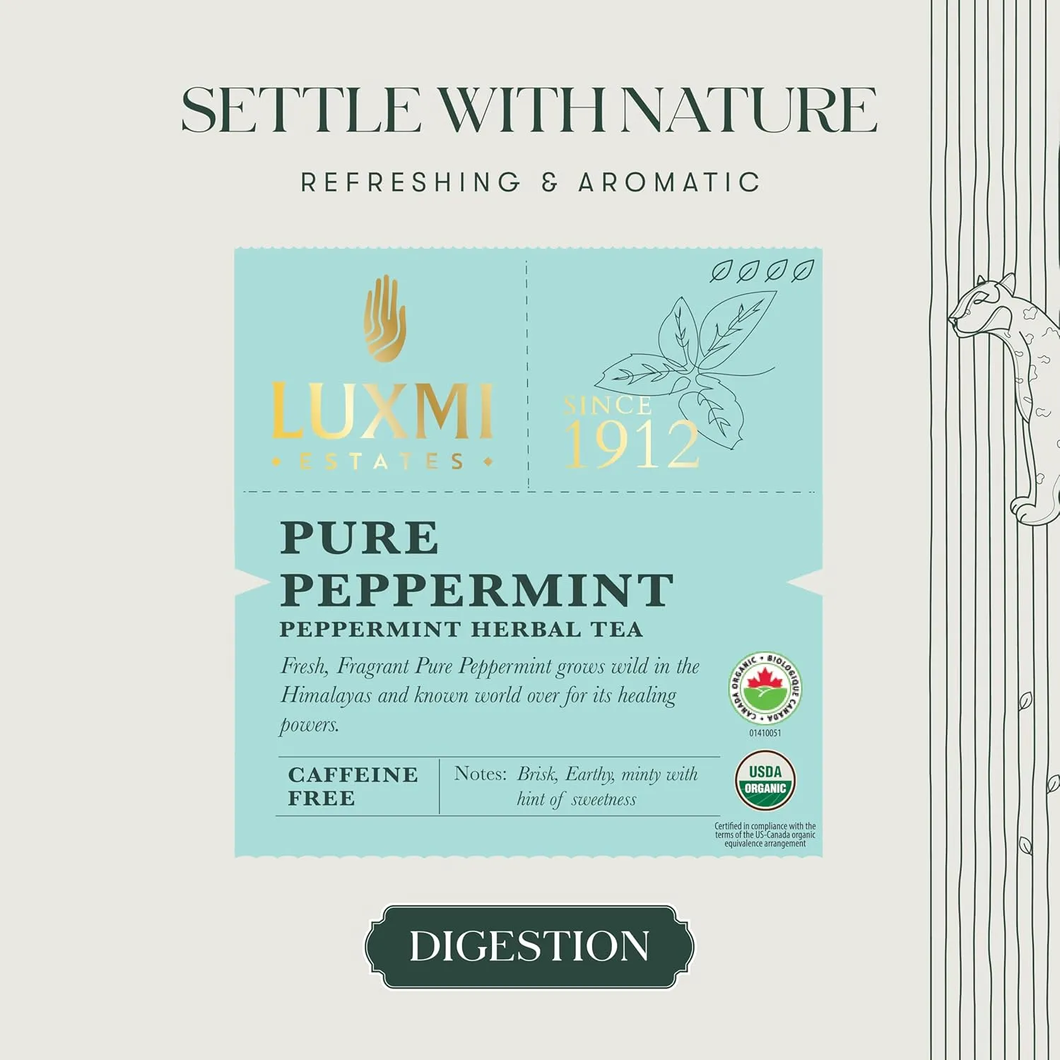 Luxmi Estates Purely Peppermint 50 Tea Bags (100g) Pack | USDA Certified Organic Herbal Tea | Mint Tea Best for Night Time | 50 Cups Bulk Pack