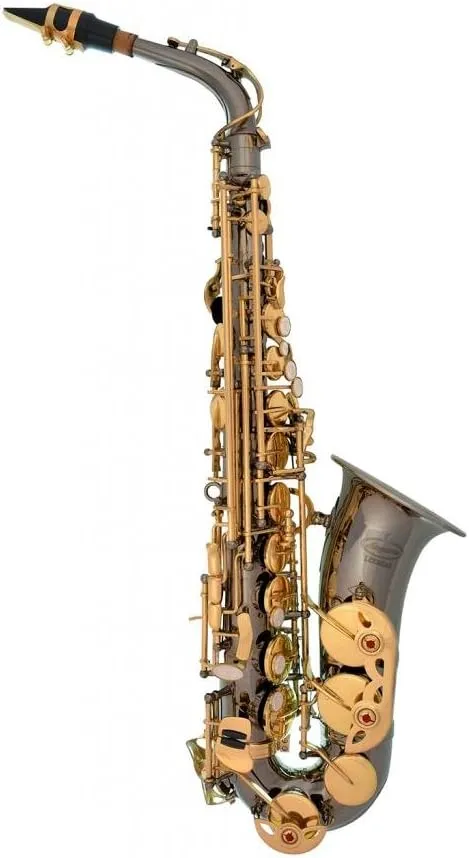 Professional Black Nickel Body Gold Keys E-flat Eb Alto Saxophone Sax with 11 Reeds, Case, Music Book, Mouthpiece and Many Extras, 360-BN