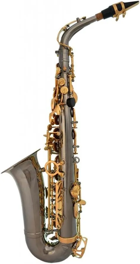 Professional Black Nickel Body Gold Keys E-flat Eb Alto Saxophone Sax with 11 Reeds, Case, Music Book, Mouthpiece and Many Extras, 360-BN
