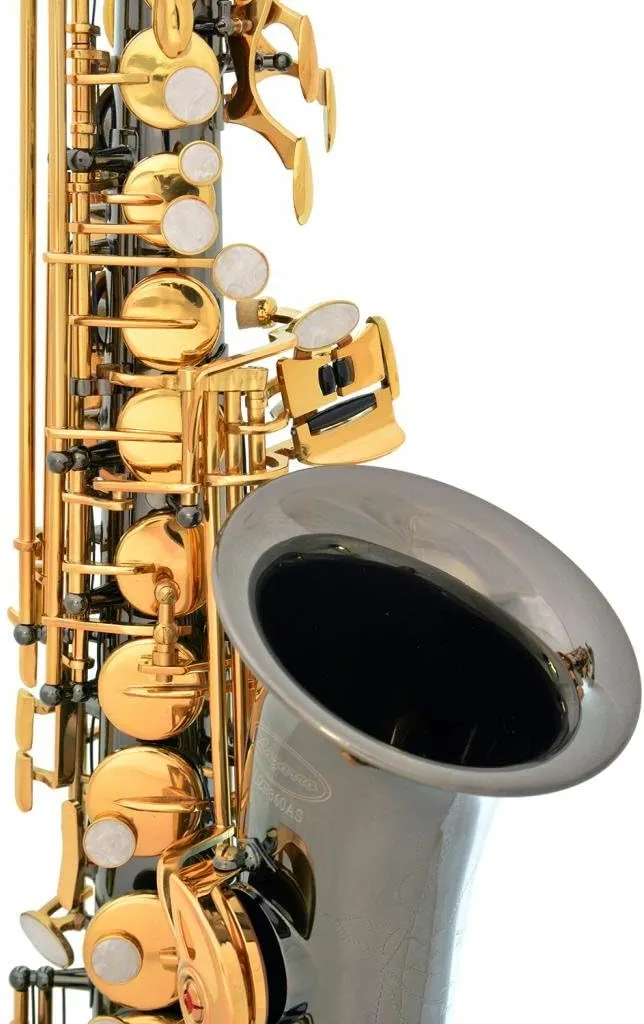 Professional Black Nickel Body Gold Keys E-flat Eb Alto Saxophone Sax with 11 Reeds, Case, Music Book, Mouthpiece and Many Extras, 360-BN