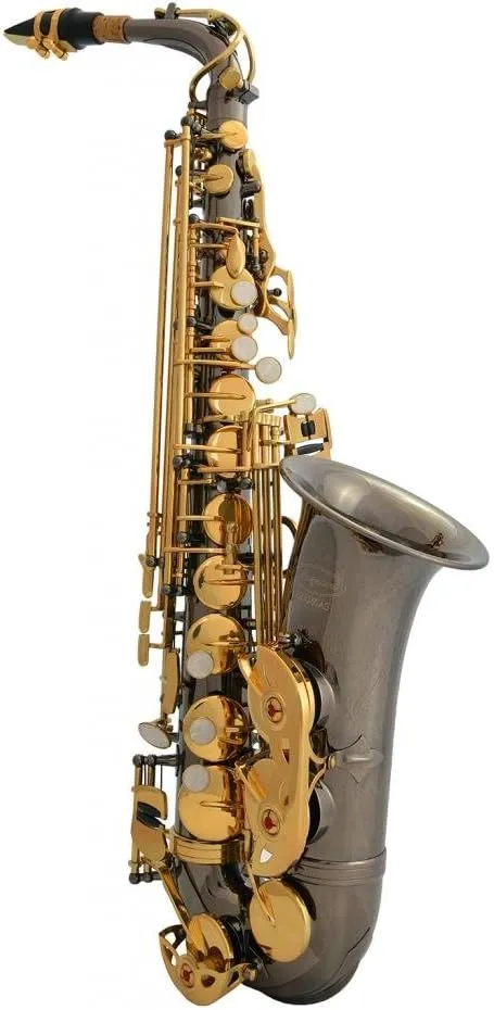 Professional Black Nickel Body Gold Keys E-flat Eb Alto Saxophone Sax with 11 Reeds, Case, Music Book, Mouthpiece and Many Extras, 360-BN