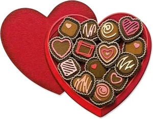 Sizzix Thinlits Die Set 24PK True Love Colorize by Tim Holtz, 666290, Multi-Colour