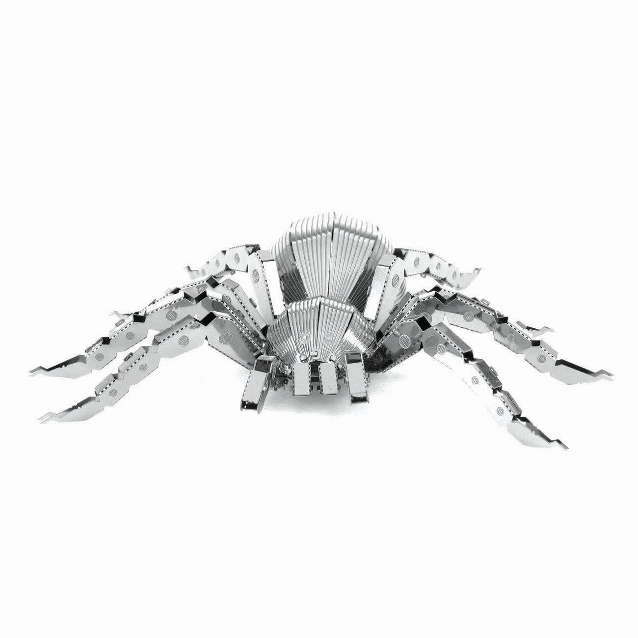 Tarantula spider