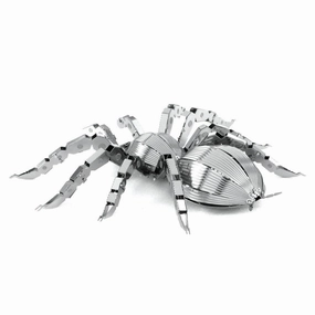 Tarantula spider