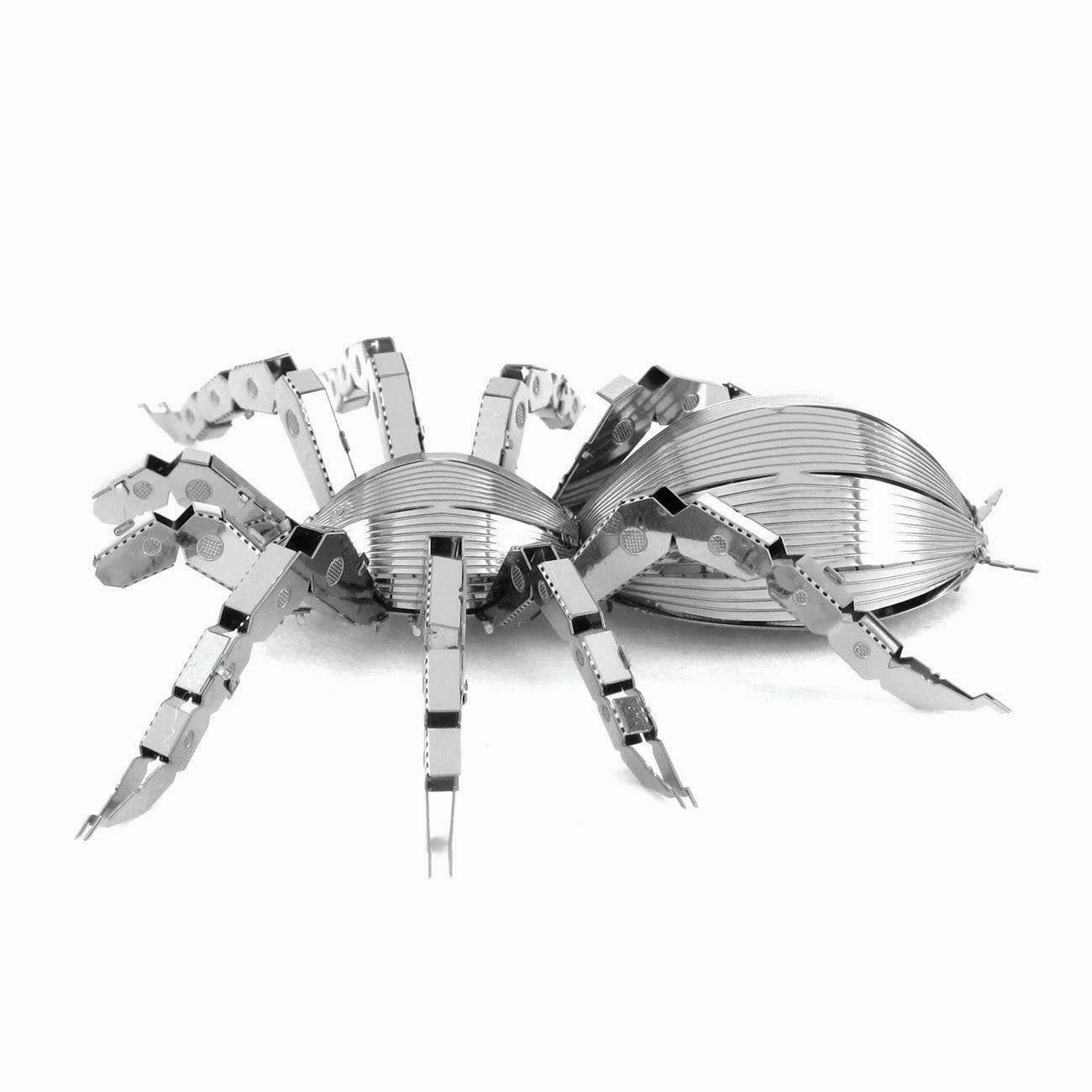Tarantula spider