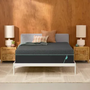 Tuft & Needle Mint Hybrid Medium Plush King Size Mattress in a Box, Cooling Adaptive Foam, Pocketed Coil Support, 100 Night Trial, Fiberglass Free, CertiPUR-US, 10-Year Limited Warranty