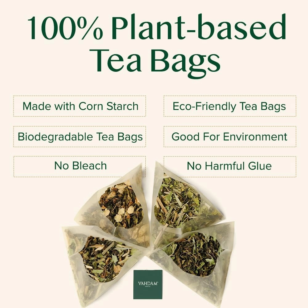 VAHDAM, Ginger Mint Green Tea Bags (100 Count) High Grown Green Tea with Raw Ginger | Medium Caffeine | Non GMO, Gluten Free | Mint Tea Bags | Resealable Ziplock Pouch